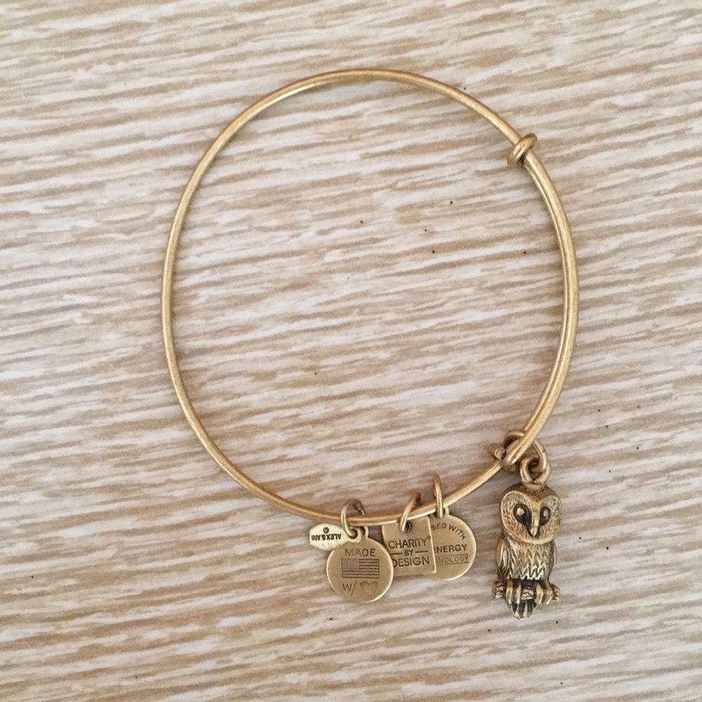 Alex and Ani Owl bracelet matte gold